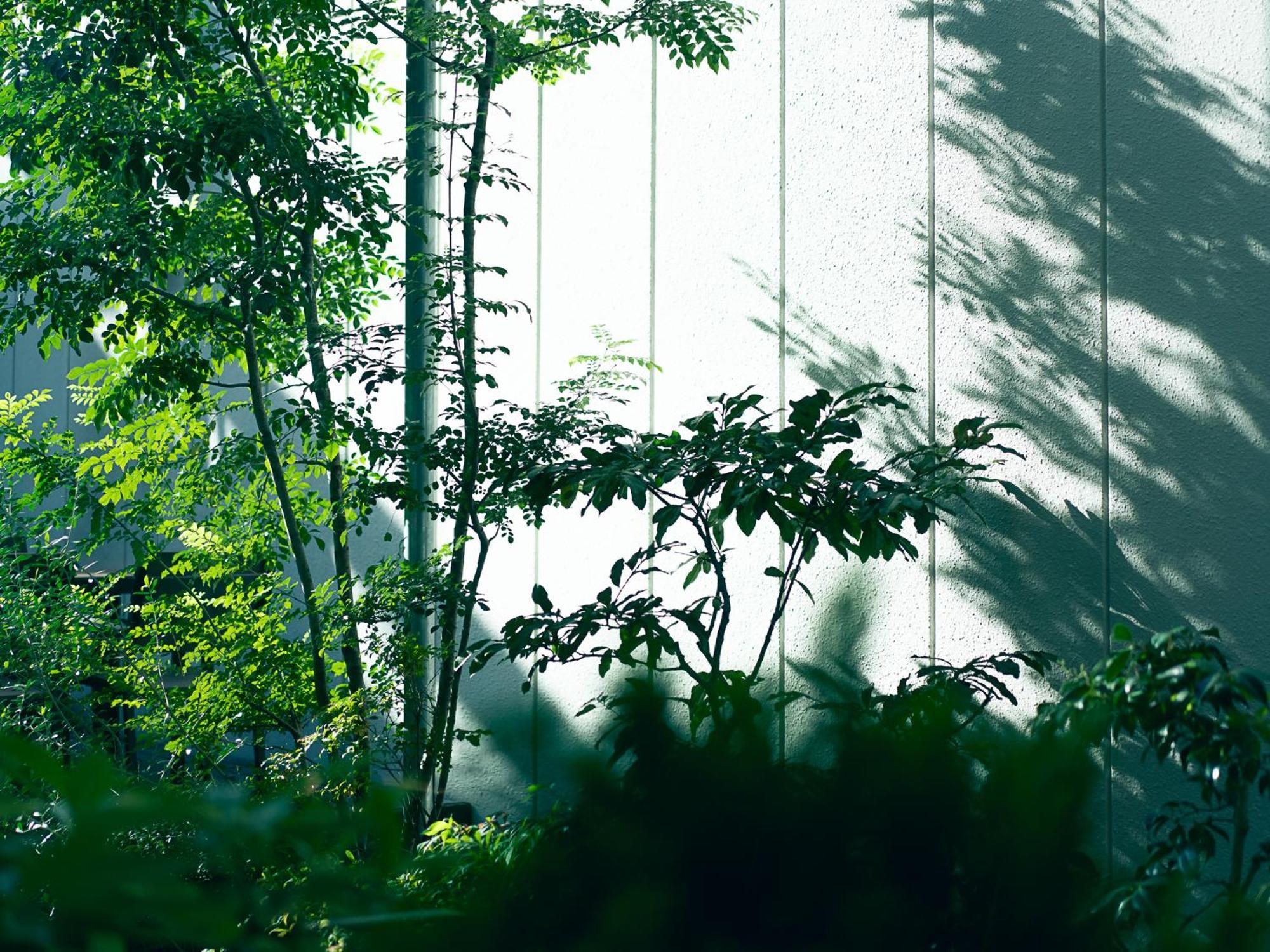 Kaname Inn Tatemachi Kanazawa Exteriör bild